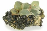 Botryoidal Prehnite and Epidote - Mali #219522-1